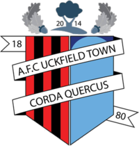 Uckfield Town